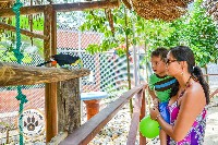 Safarick’s Animal Rescue and Rehabilitation Zoo in Colon