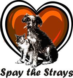 SPAY THE STRAY- DONOR MATCH