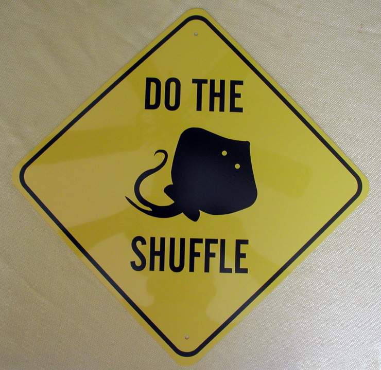 Do the Stingray Shuffle When Entering the Pacific waters of Panama