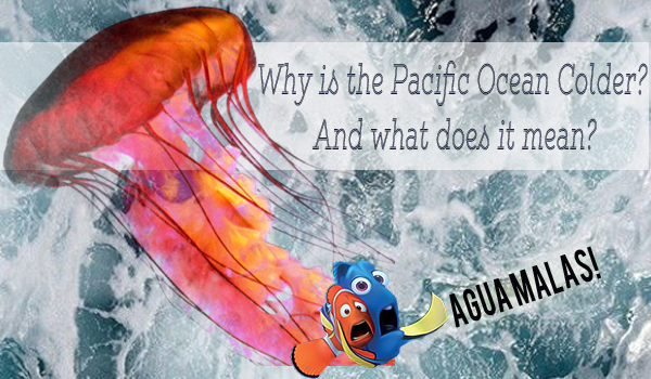 Why is the Pacific Ocean Colder? And what does it mean?