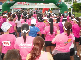 breast_cancer_run4.jpg