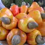 Stewed Cashew Apples (Doce de Caju)
