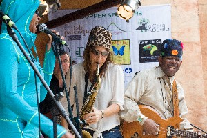 Boquete jazz and blues festival 2016 lineup