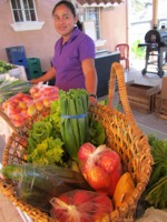 Organic Market Thrives in Coronado, Panama