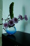 ikebana_flower_arrangement_1_thumbnail.jpg