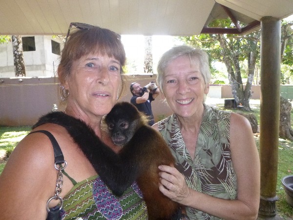 Jeff the Monkey's New Home: Monkey Lodge Panama