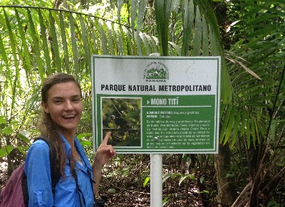 Studying Panama's Geoffroy's tamarin