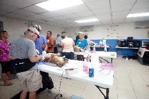 Spay the Strays El Espave Clinic