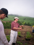 The Smithsonian Plants Trees in Soberania to Fight Elephant Grass