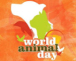 World Animal Day