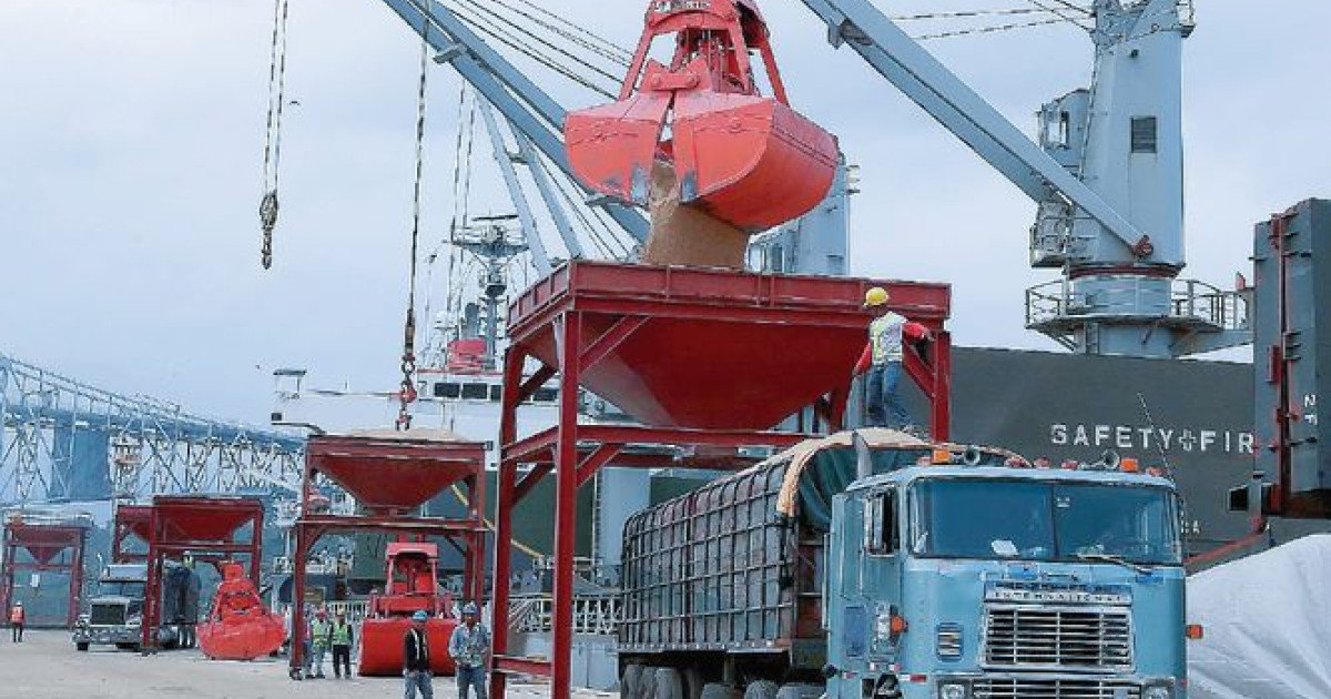 $7.3 million for imported rice