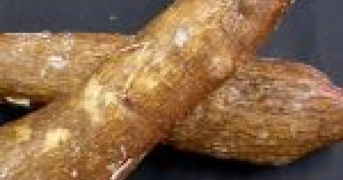 Filled Yucca (fritters)-Carimanolas